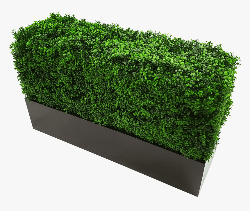 Metal Planter For Artificial Hedges - Metal Planter Box, HD Png Download, Free Download