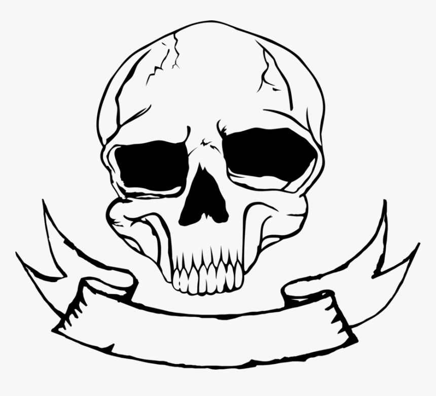 Skull Nose Human Skeleton Bone Free Commercial Clipart Skull Nose