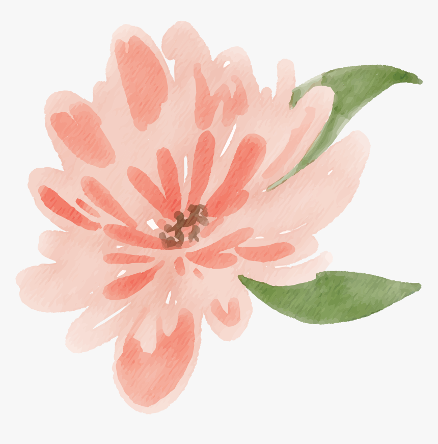 Peach Water Color Flower, HD Png Download, Free Download