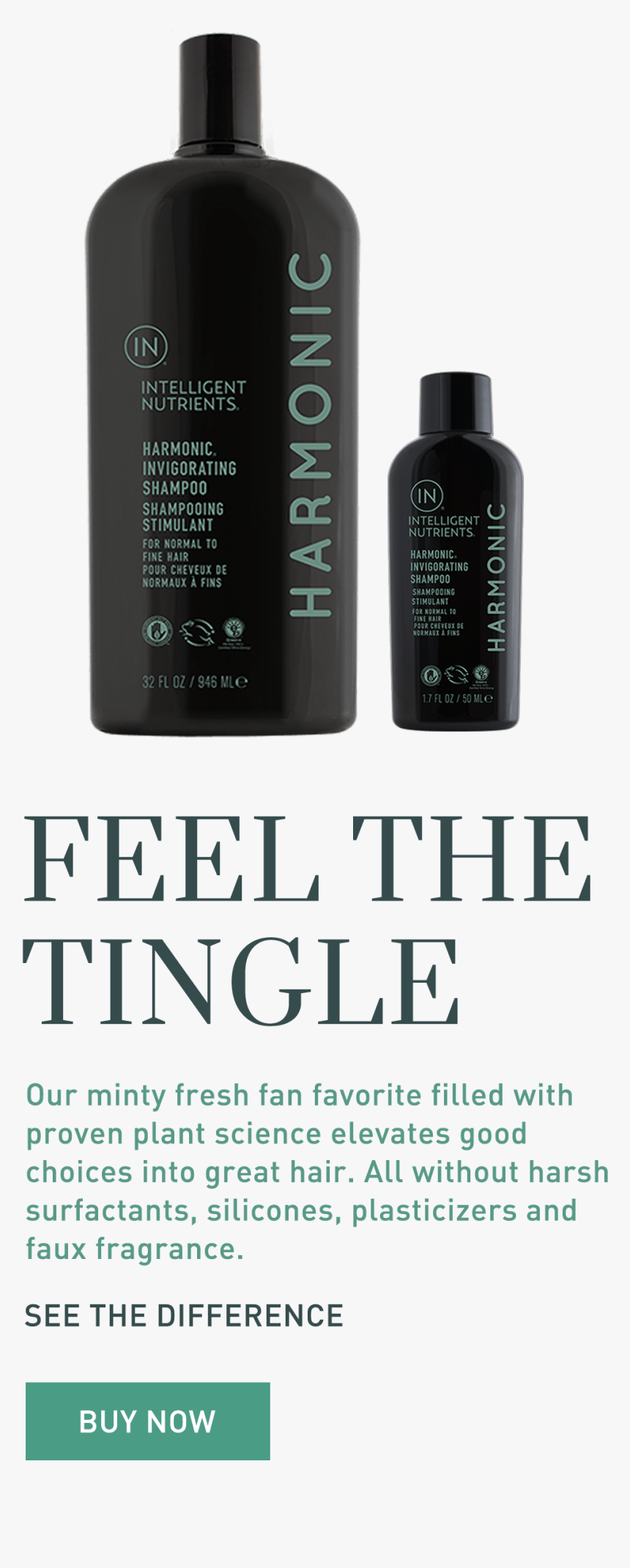 Feel The Tingle - Elite Daily, HD Png Download, Free Download