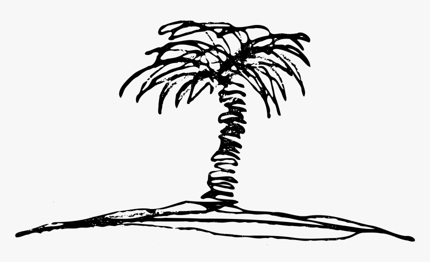 Black And White Palm Tree Illustration - Illustration of Many Recent