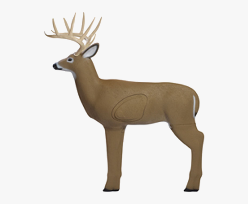 Big Shooter Buck Target, HD Png Download, Free Download