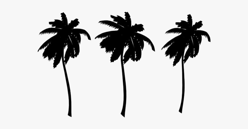 Palm Tree Png Colorful, Transparent Png, Free Download