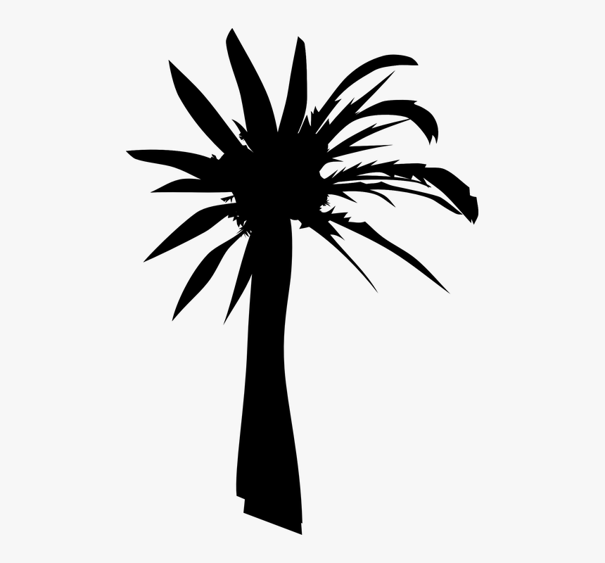 Palm Tree, Silhouette, Summer, Heat, Black, HD Png Download, Free Download