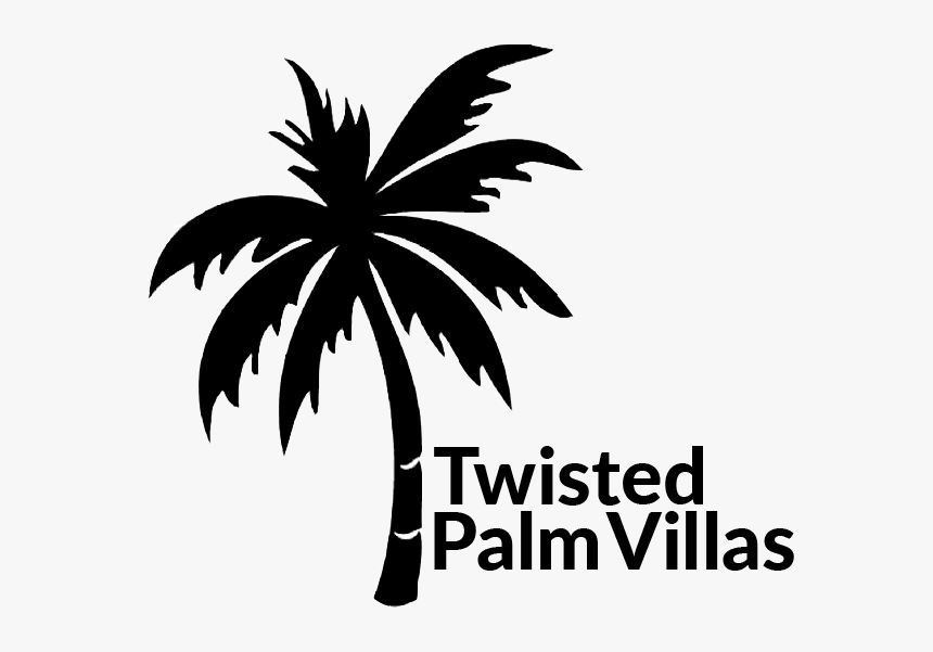 We Buy Sea Side And Start Drawing Twisted Palm Villas - White Palm Tree On Transparent Background, HD Png Download, Free Download