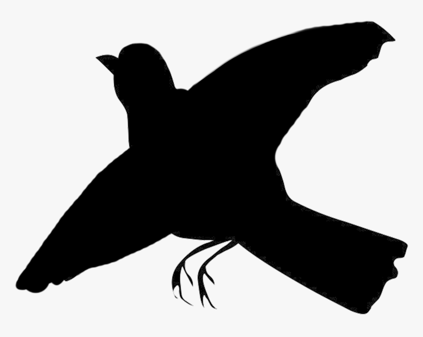 flying robin silhouette