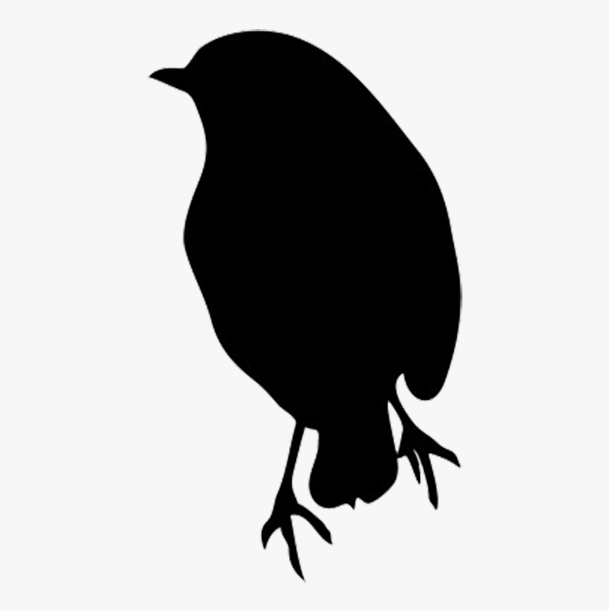 Transparent Sparrow Silhouette Png - Robin Clipart Black And White, Png Download, Free Download