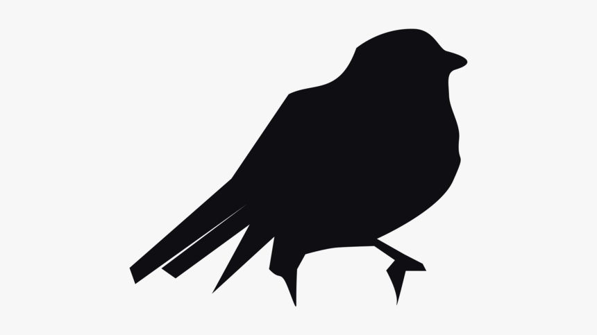 Crow Like Bird,rook,silhouette - American Crow, HD Png Download, Free Download