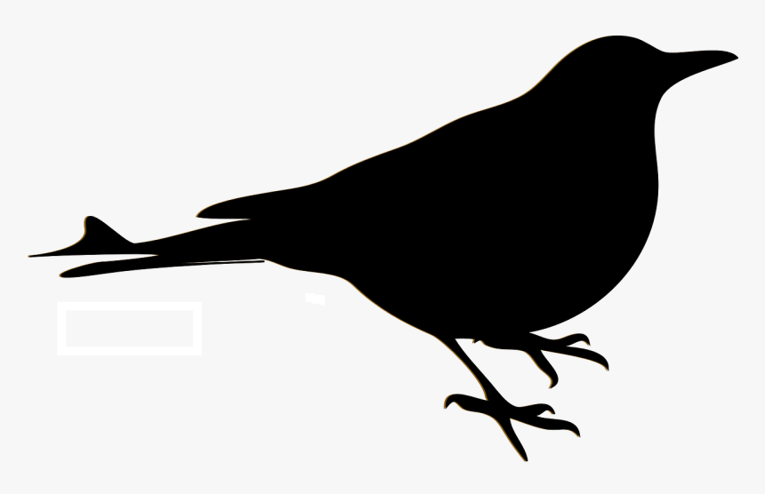 Bird, Blackbird, Sillhouette, Crow, Raven, Robin - Desenhos De Passaros Preto, HD Png Download, Free Download