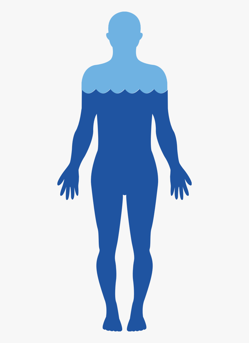 Standing Human Body Silhouette, HD Png Download, Free Download