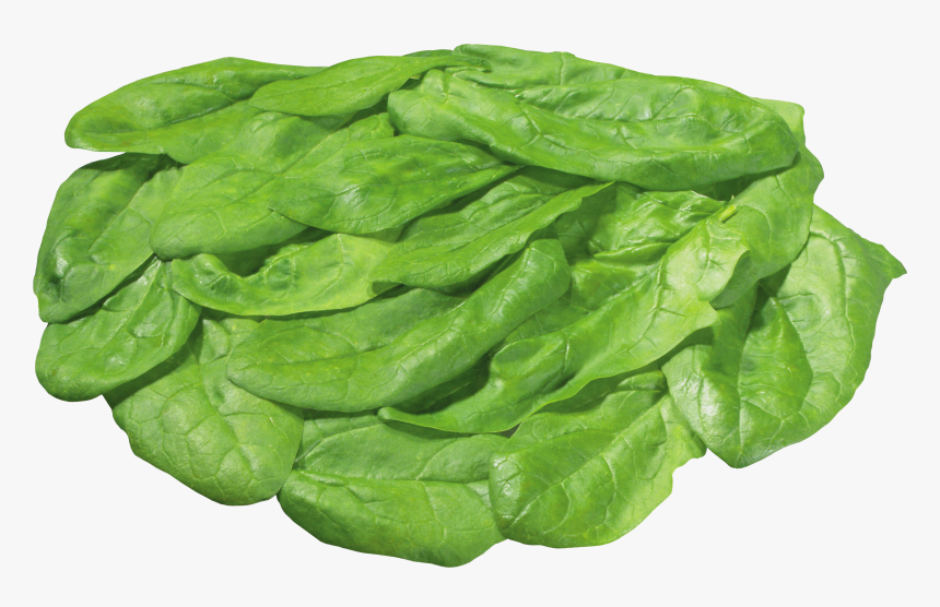 Download For Free Salad Icon Png - Lettuce Leaves Transparent Background, Png Download, Free Download