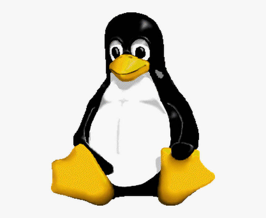 Linux Penguin - Linux Penguin Gif, HD Png Download, Free Download