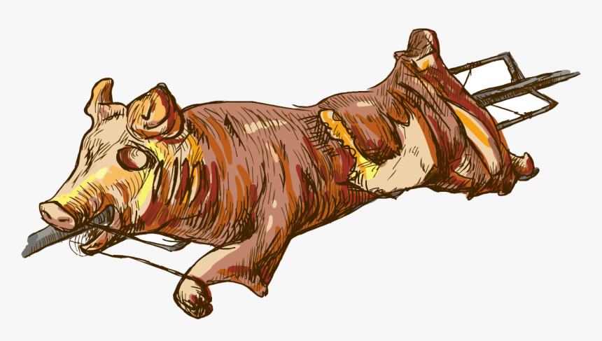 Pig Roast Suckling Pig Roasting Illustration - Roasted Pig Drawing Png, Transparent Png, Free Download