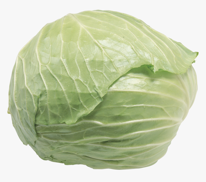 Cabbage Hd, HD Png Download, Free Download