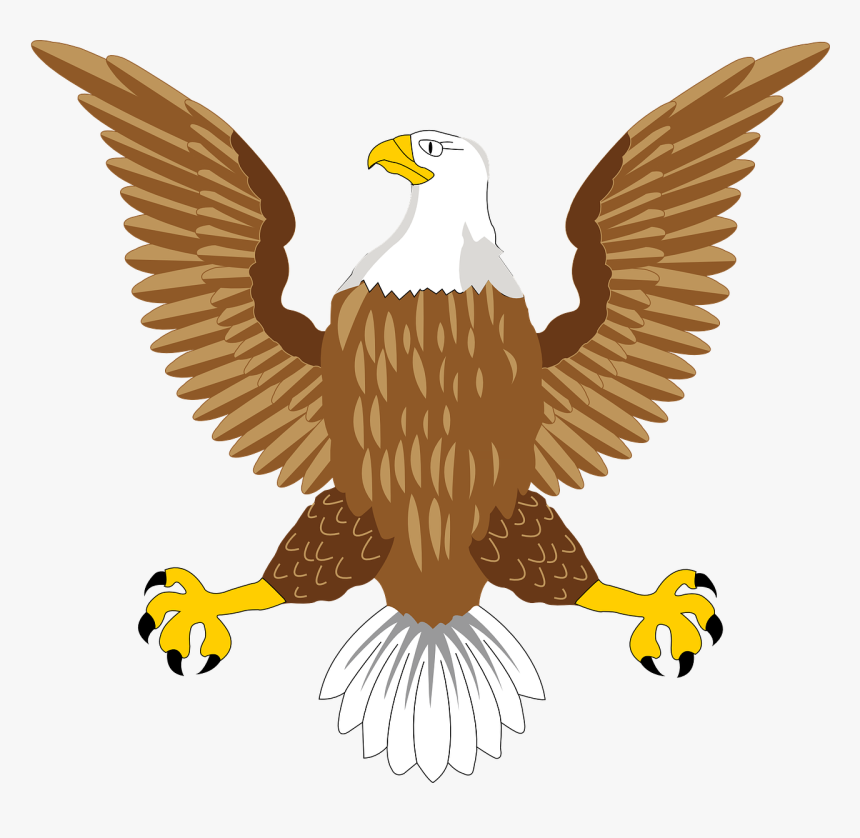 Usa Bald Eagle Symbol, HD Png Download, Free Download