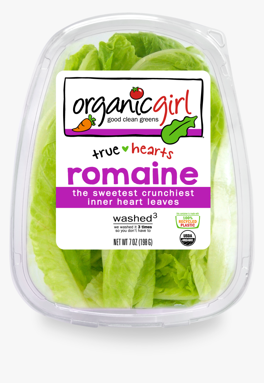 Transparent Salad Icon Png - Organic Girl Butter Lettuce, Png Download, Free Download