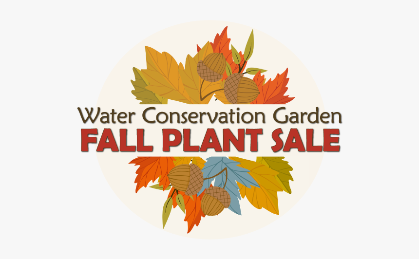 Water Plants Png, Transparent Png, Free Download