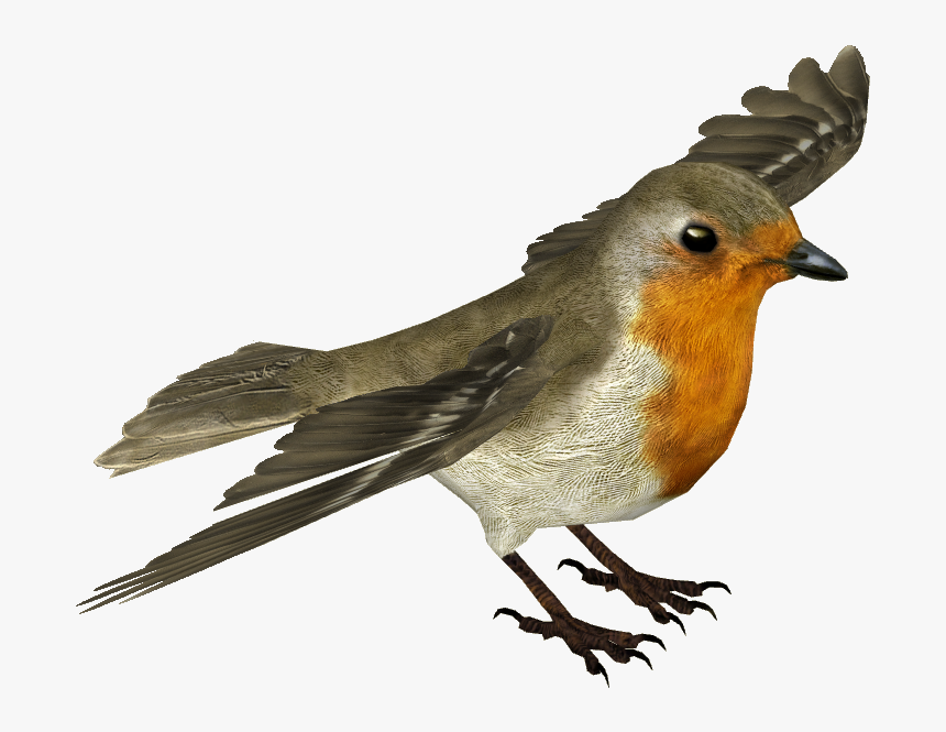 European Robin Transparent Background - Robin Transparent Background, HD Png Download, Free Download