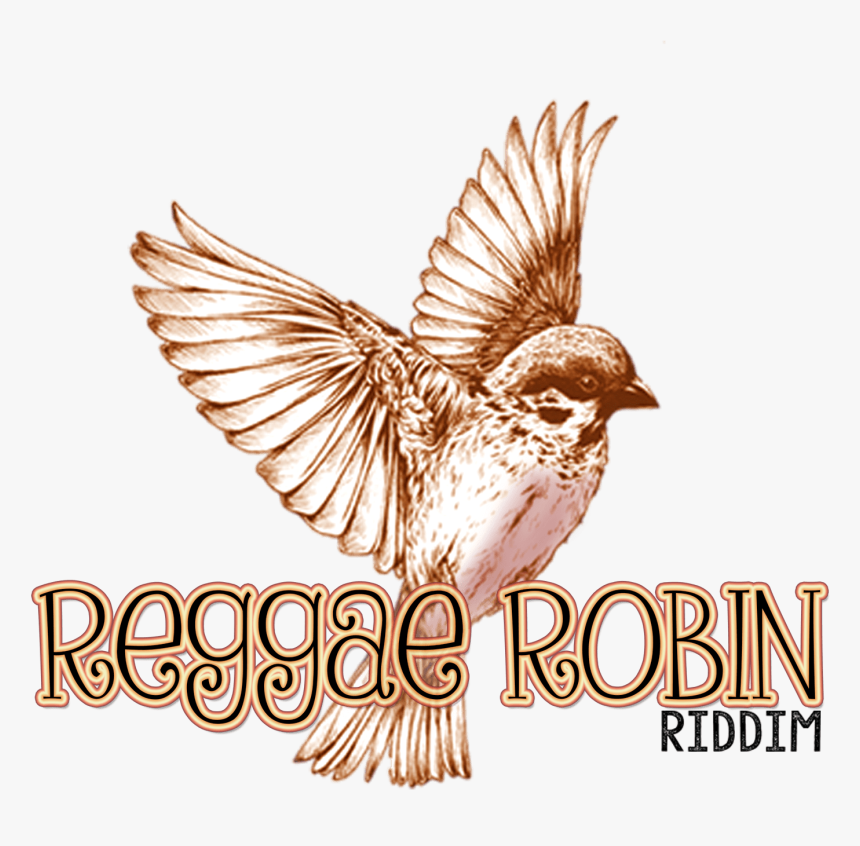 Reggae Robin Riddim Logo - Vintage Drawing Of Birds, HD Png Download, Free Download