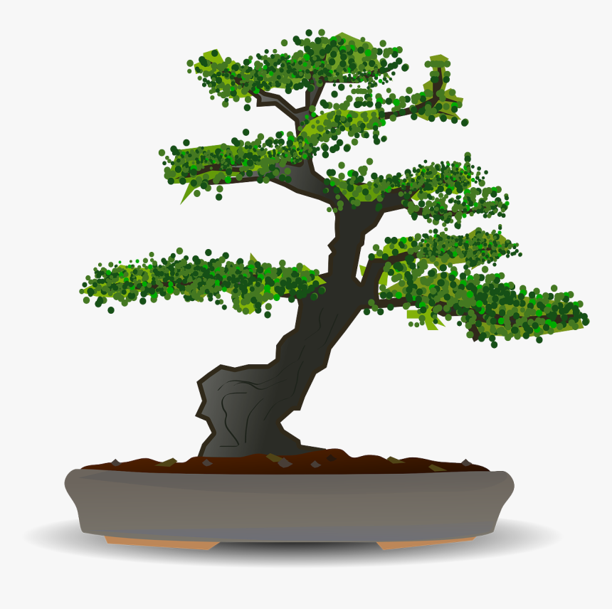 Bonsai Tree Vector Free, HD Png Download, Free Download