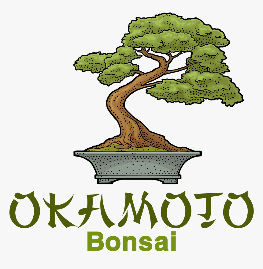 Okamoto Bonsai - Bonsai Tree Illustration, HD Png Download, Free Download