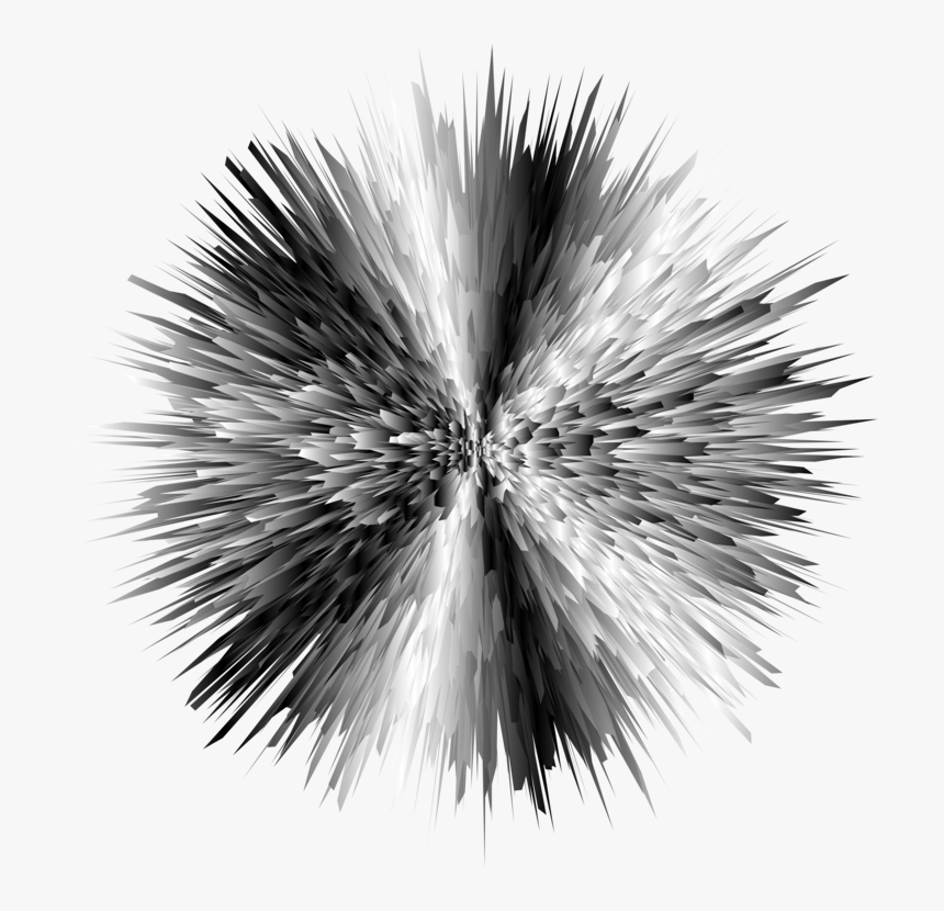 Plant,flower,pompom - Black And White Explosion, HD Png Download, Free Download