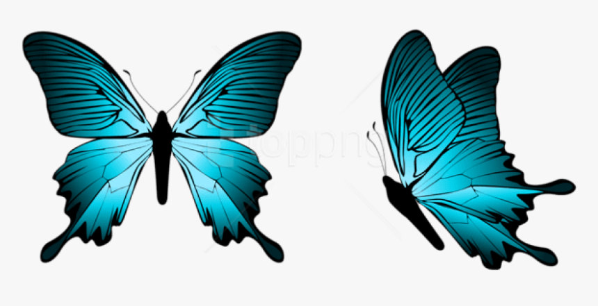 Download Blue Png Photo - Light Blue Butterfly Png, Transparent Png, Free Download