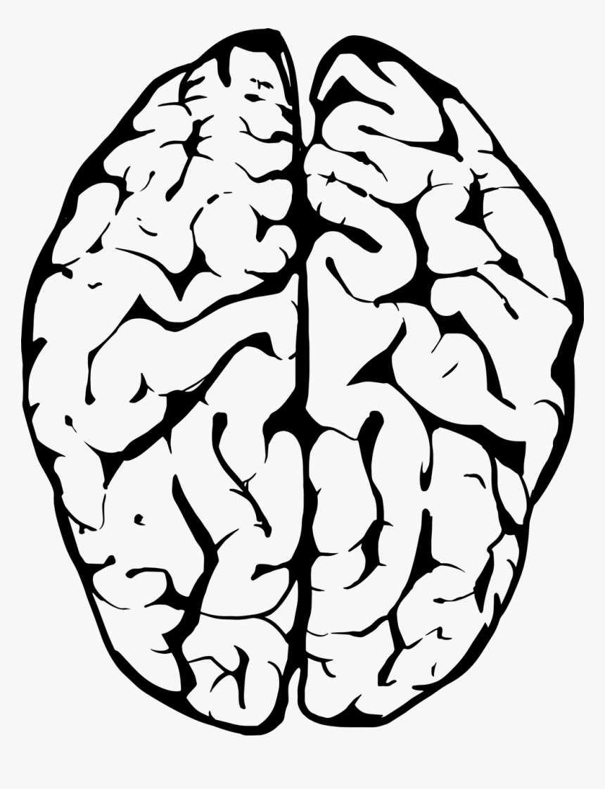 White And Black Brain, HD Png Download, Free Download