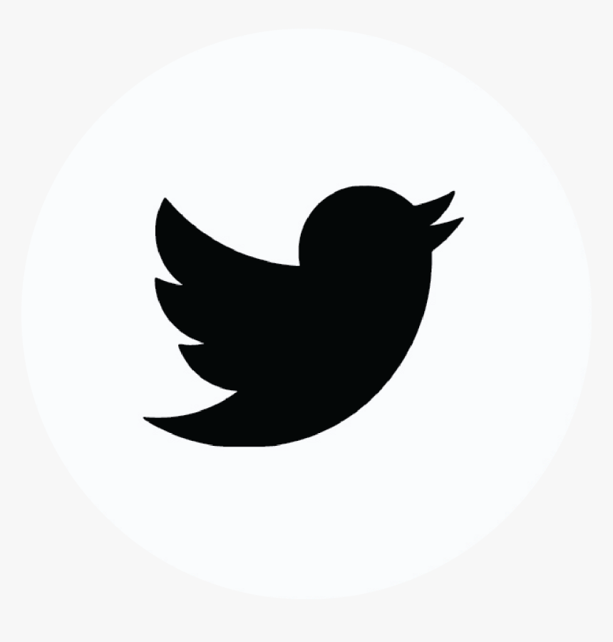 Twitter Icon - Twitter Logo For Youtube Banner, HD Png Download, Free Download