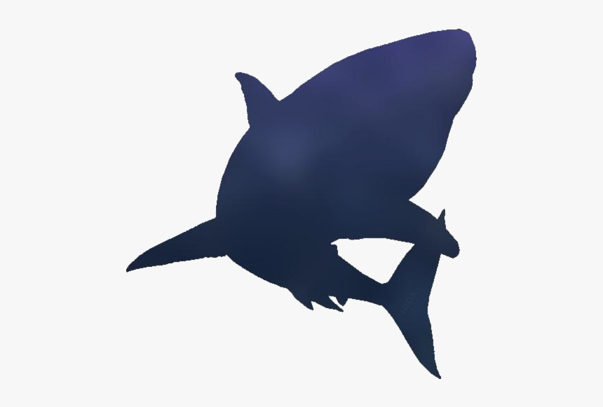 Cartoon Shark Drawings Png Transparent Images - Squalo Stencil, Png Download, Free Download