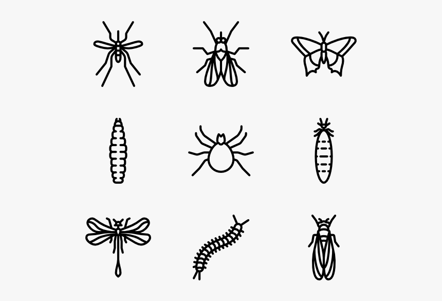 Insects Icon Png, Transparent Png, Free Download