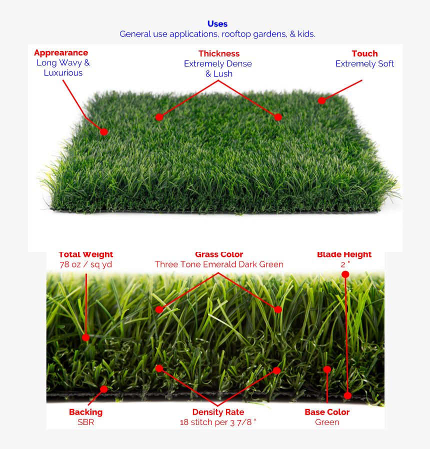 Premium Blade Grass-lush Synthetic Grass, HD Png Download, Free Download