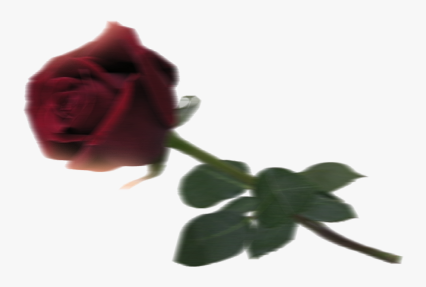 Gif Rosa Sant Jordi, HD Png Download, Free Download