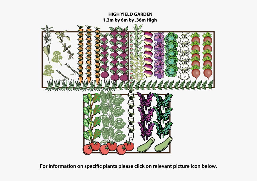 Vegetable Garden Png - High Yield Garden Layout, Transparent Png, Free Download