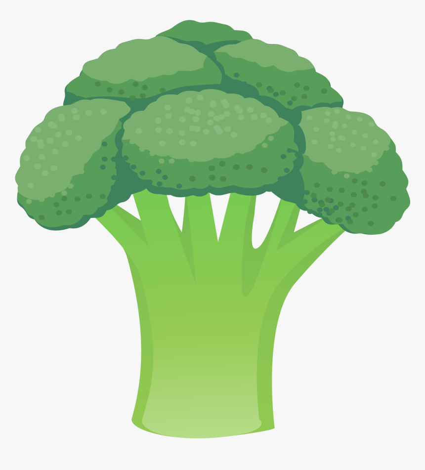 Cauliflower Vegetable Broccoli - Cauliflower, HD Png Download, Free Download