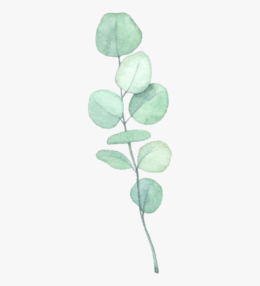 Green Vine - Heart, HD Png Download, Free Download