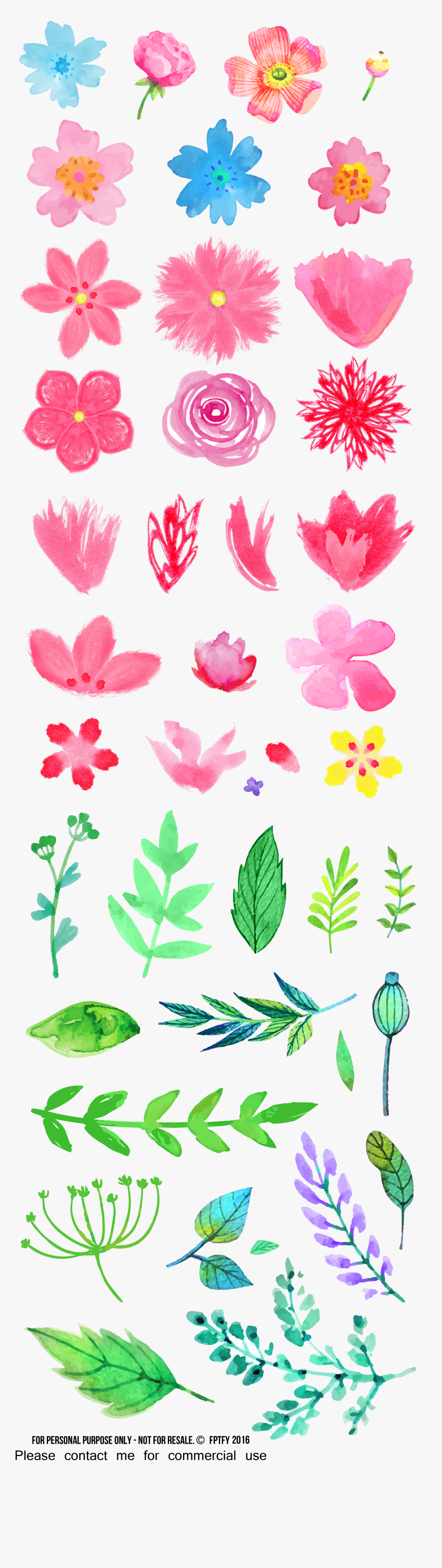 Clip Art In Watercolour Pinterest Meet - Free Clipart Watercolor, HD Png Download, Free Download