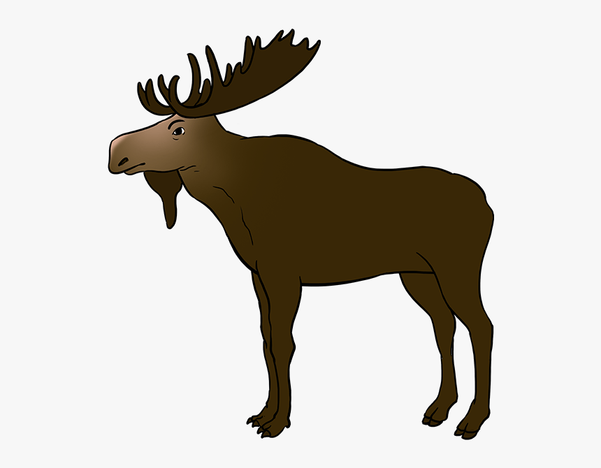 How To Draw Moose Drawing Hd Png Download Kindpng