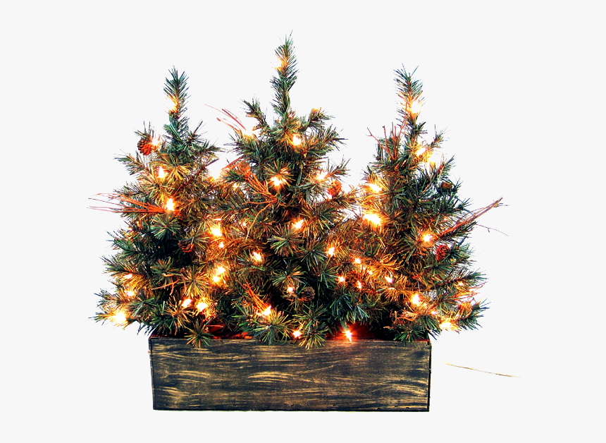 Christmas Outside Png Picture - Png Outdoor Christmas Tree, Transparent Png, Free Download