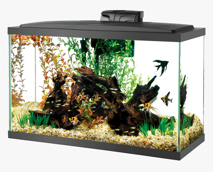 Aquarium With Log And Black Fish - Aqueon 29 Led Kit, HD Png Download, Free Download