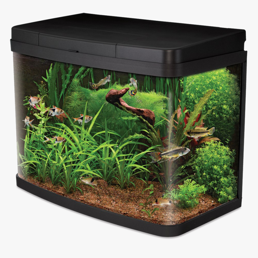 Aquarium Life Png Image Background - 45 Liter Aquarium, Transparent Png, Free Download