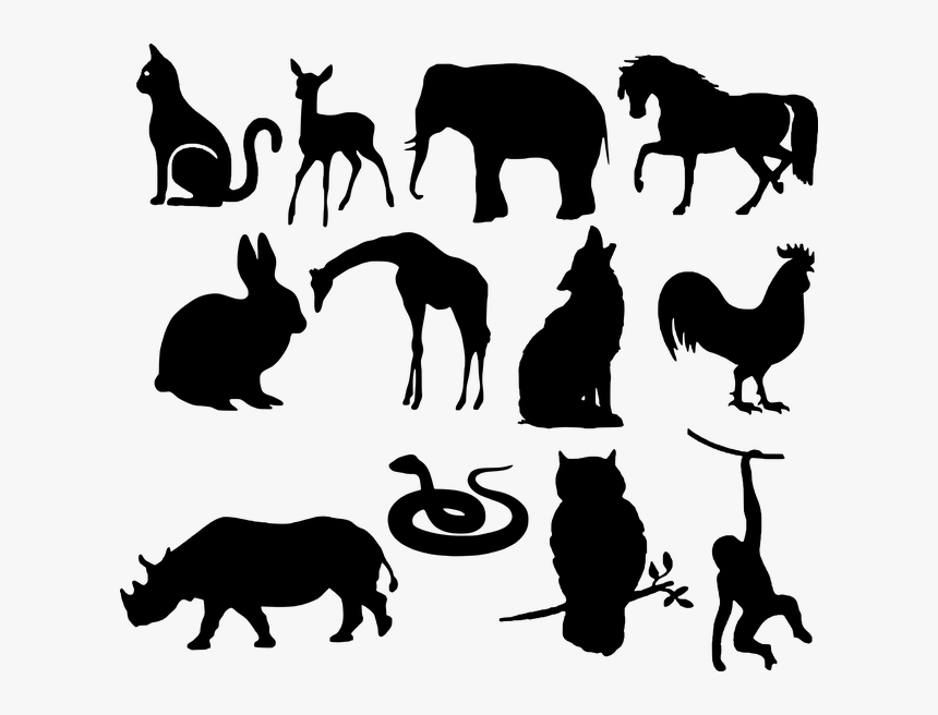 Animals, Silhouette, Wolf, Elephant, Snake, Rabbit, - World Veterinary Day 2019 Theme, HD Png Download, Free Download