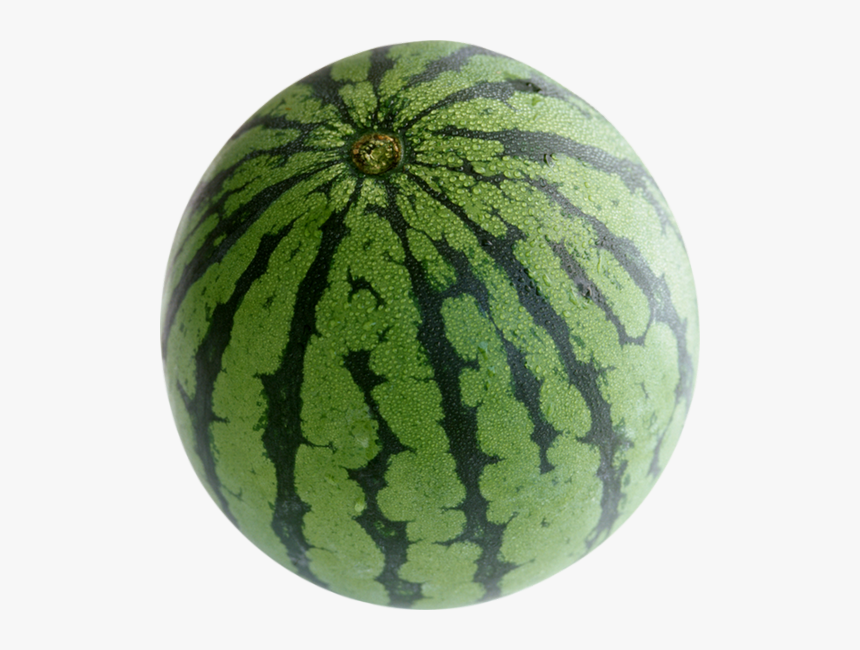 Watermelon fruit game. Визирь ф1 Арбуз. Арбуз Марбл. Арбуз целый. Арбуз на белом фоне.