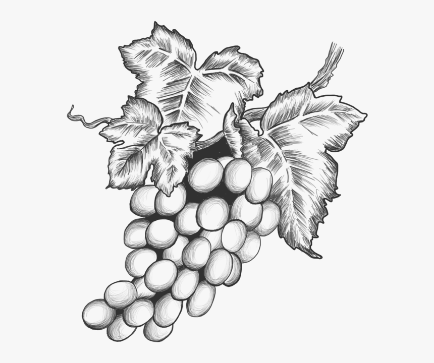 Transparent Raisins Png - Sultana, Png Download, Free Download