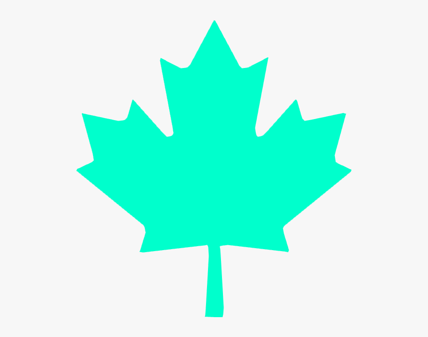 Wbp Maple Leaf - Red Canadian Maple Leaf, HD Png Download, Free Download