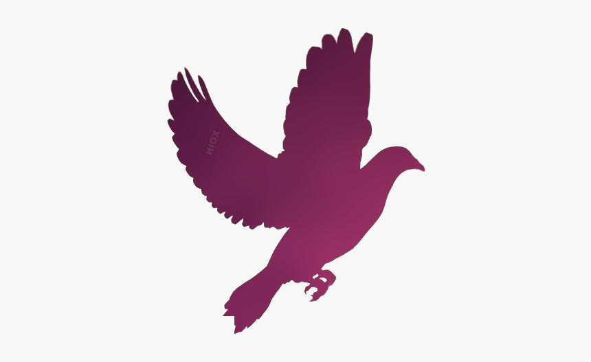 Dove Png Transparent Images - Flying Pigeon Silhouette, Png Download, Free Download