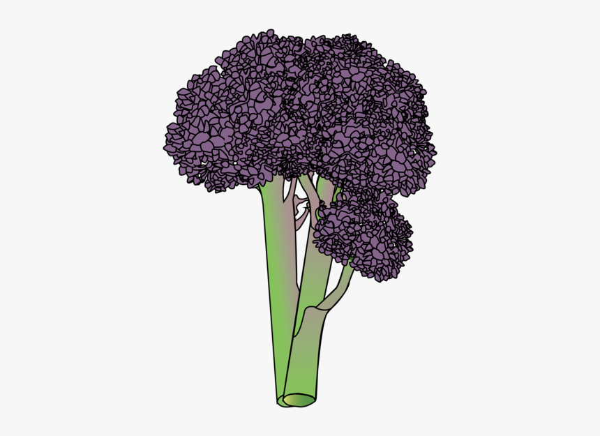 Bouquet, HD Png Download, Free Download