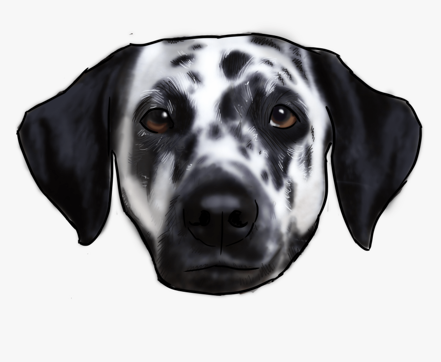 Dalmatian , Png Download - Dalmatian, Transparent Png, Free Download