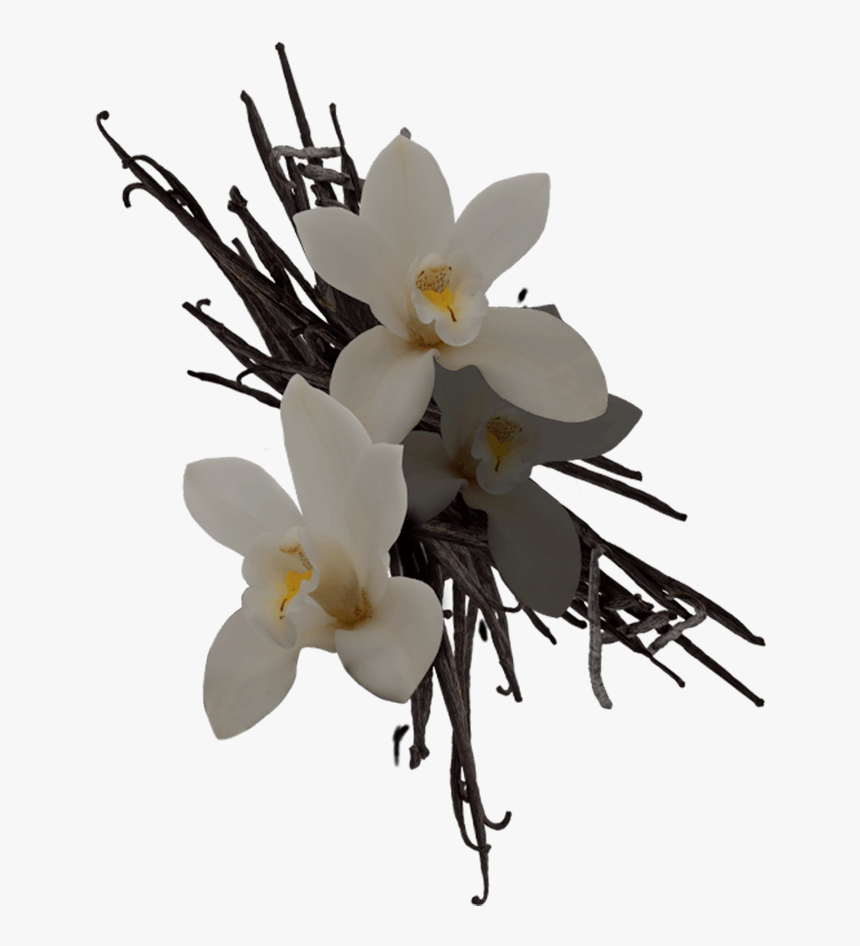 Artificial Flower, HD Png Download, Free Download