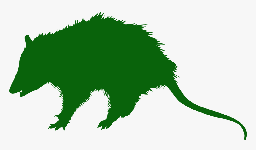 Opossum Silhouette Possum Free Svg, HD Png Download, Free Download